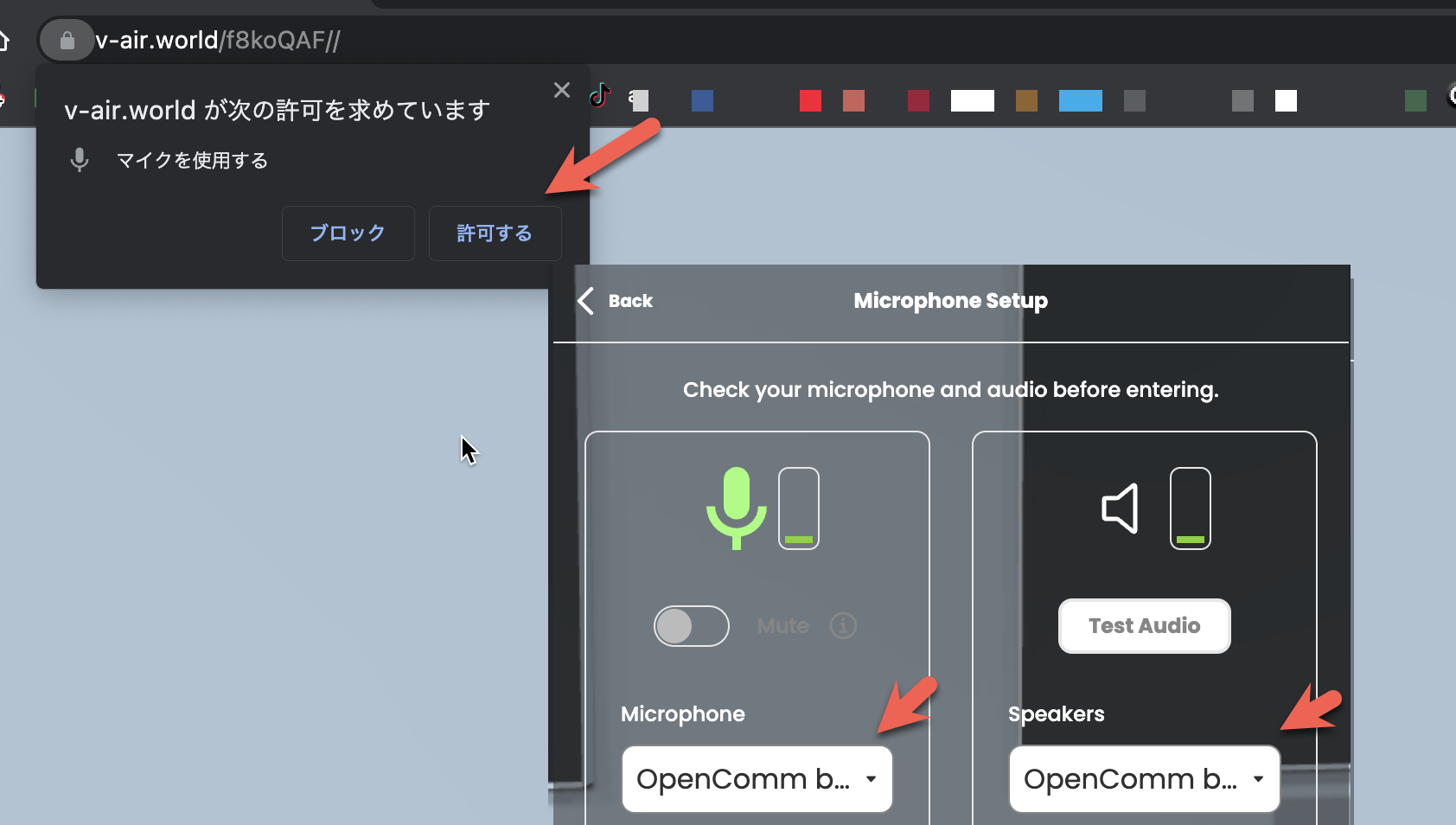 PCでのマイク許可画面