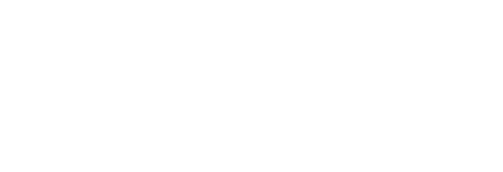Japan Academic Society for E-Commerce (JASEC)